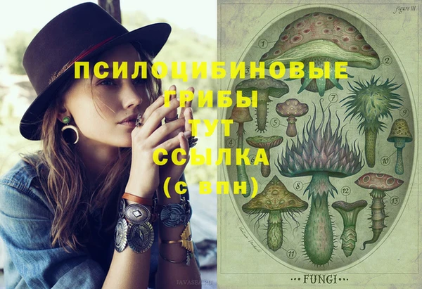 бошки Абаза