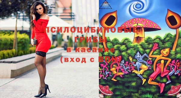 дмт Абинск